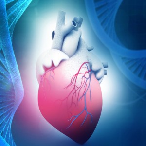 Angiography or Angioplasty in Bhagalpur